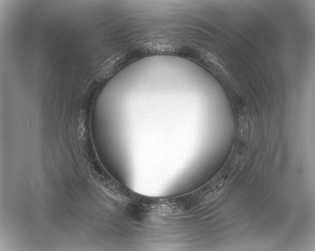 X0000056020259200509092146