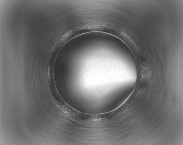 X0000056020260200509092146