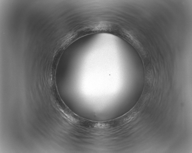 X0000056020261200509092146