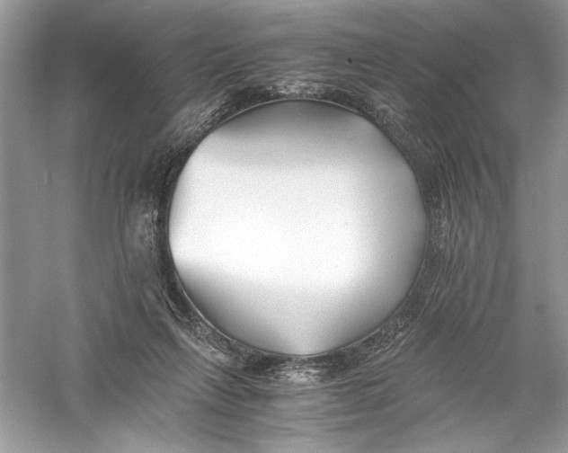 X0000056020263200509092146