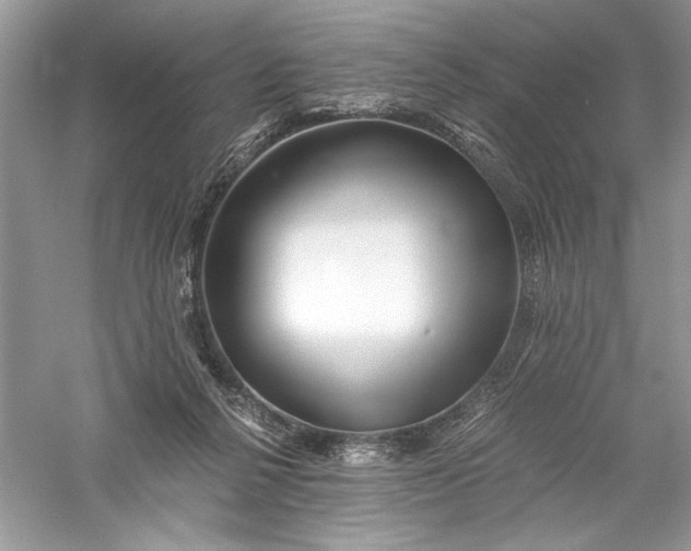 X0000056020264200509092147