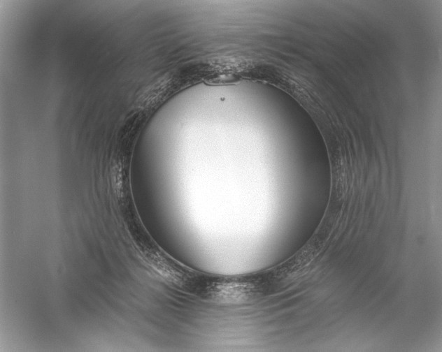 X0000056020268200509092147