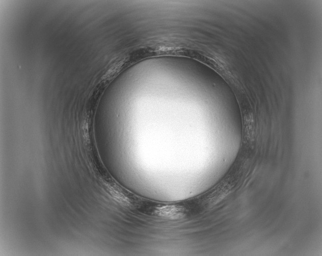 X0000056020269200509092147