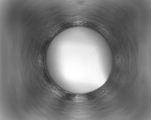 X0000056020270200509092147