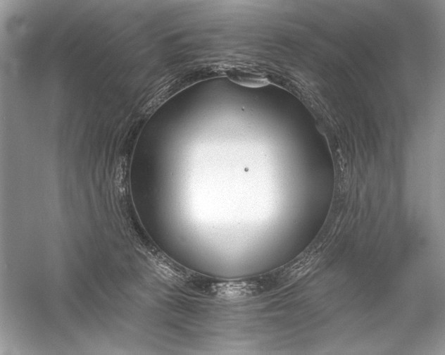 X0000056020273200509092147