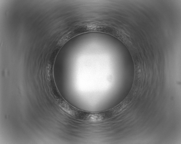 X0000056020275200509092147
