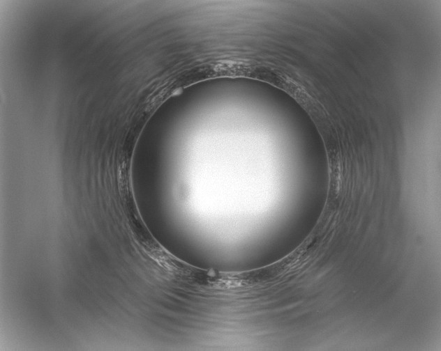 X0000056020276200509092147