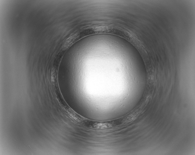 X0000056020277200509092147