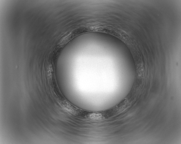 X0000056020279200509092147