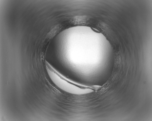 X0000056020281200509092147