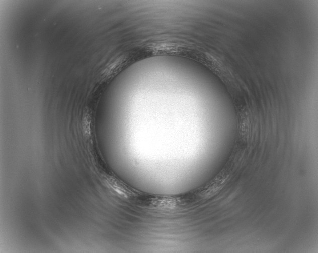 X0000056020282200509092147