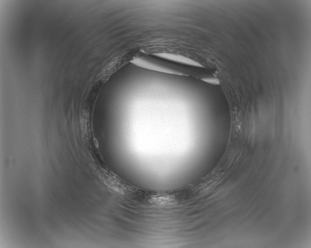 X0000056020283200509092147