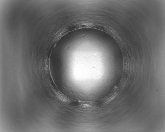 X0000056020285200509092147
