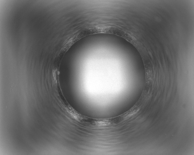 X0000056020286200509092147