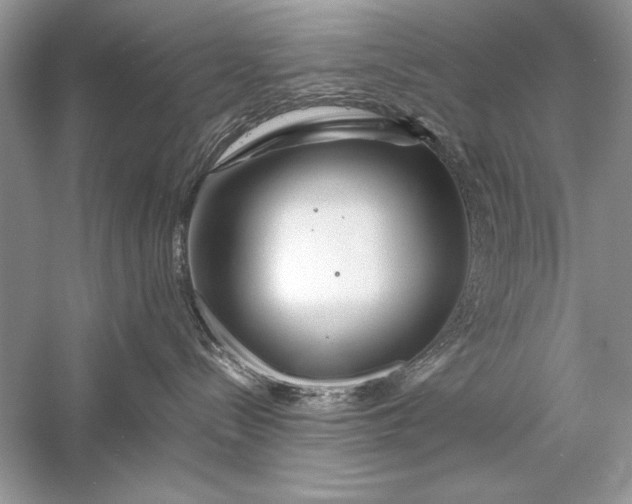 X0000056020288200509092147