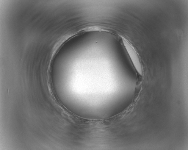 X0000056020289200509092146