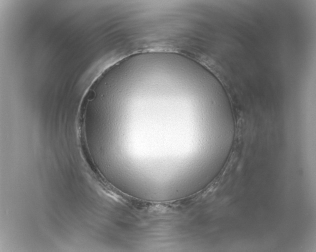 X0000056020290200509092146