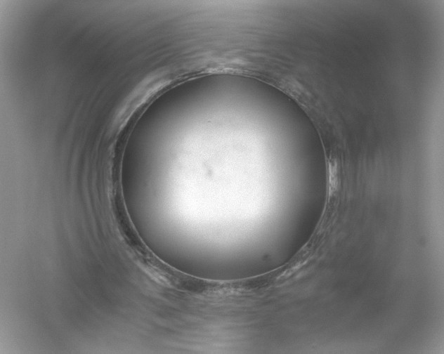 X0000056020291200509092146