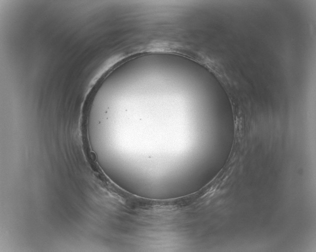 X0000056020292200509092146