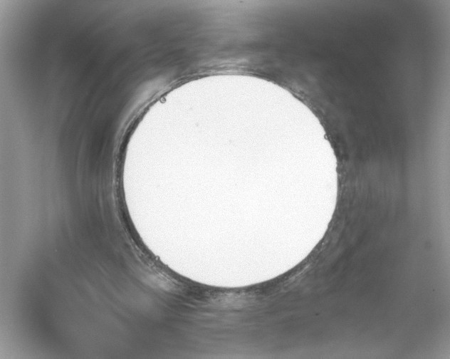 X0000056020293200509092146