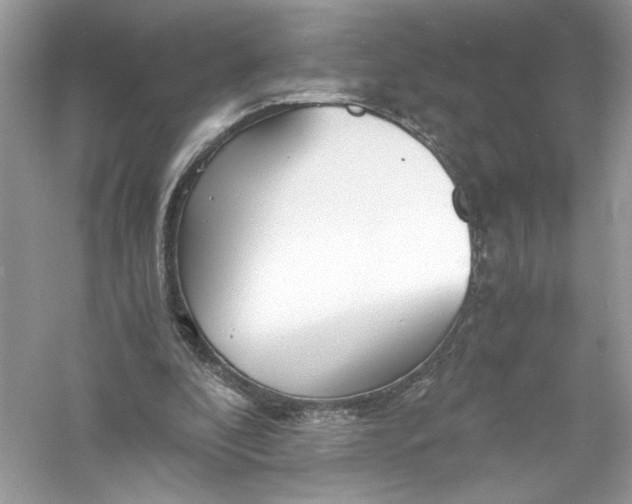 X0000056020296200509092146