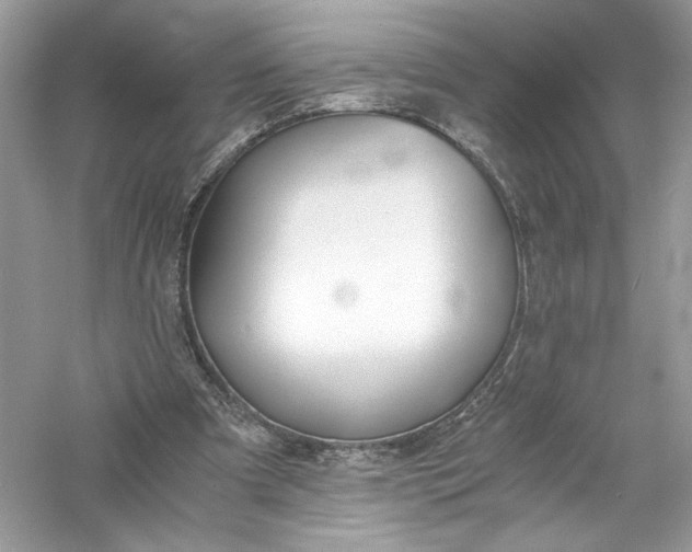 X0000056020297200509092146
