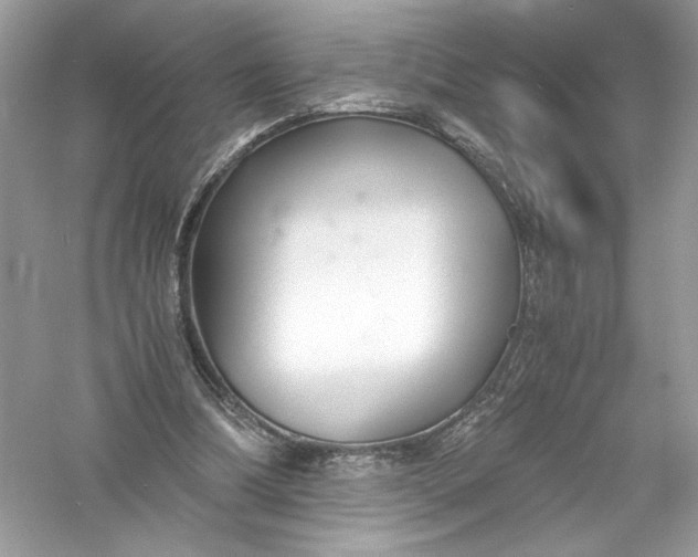 X0000056020298200509092146