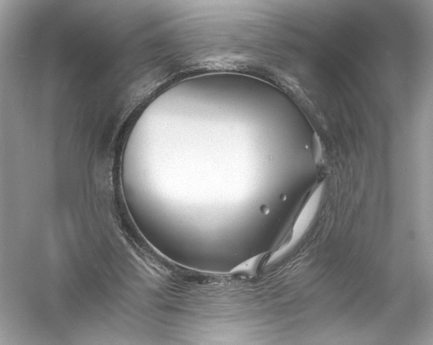 X0000056020299200509092146