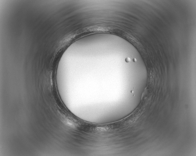 X0000056020302200509092146
