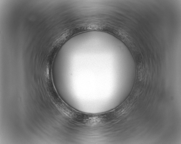 X0000056020310200509092146