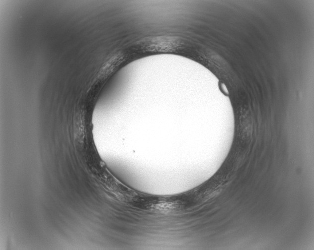 X0000056020312200509092146