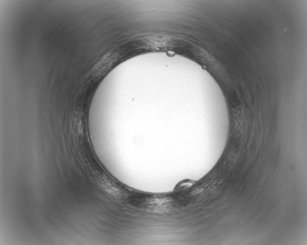 X0000056020313200509092146