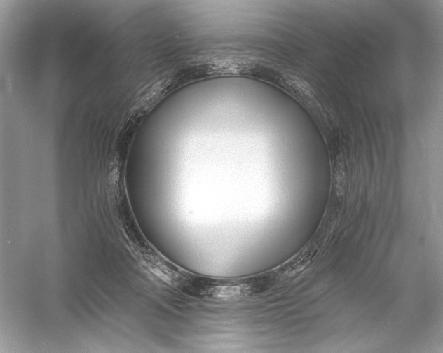 X0000056020314200509092146