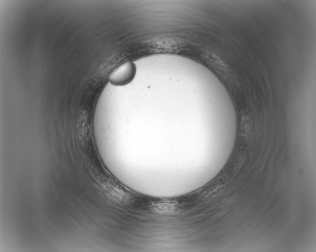 X0000056020318200509092146
