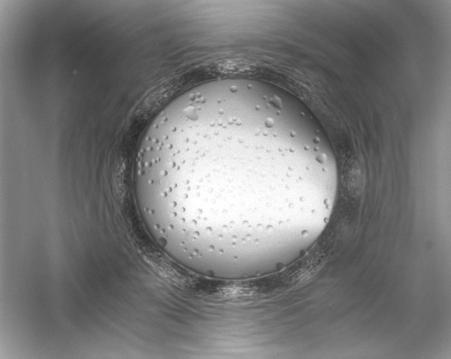 X0000056020319200509092146