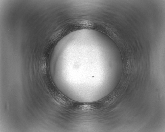 X0000056020320200509092146