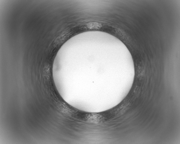 X0000056020321200509092146