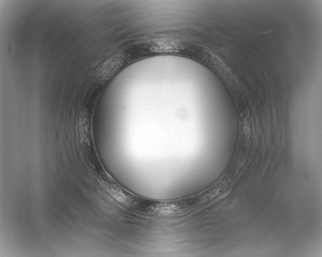 X0000056020322200509092146
