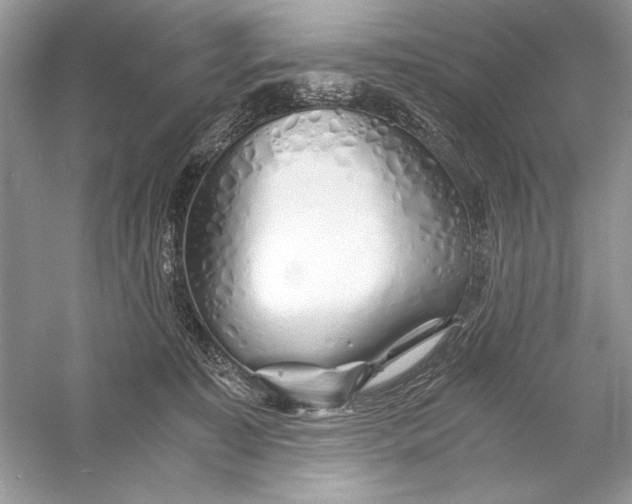 X0000056020323200509092146