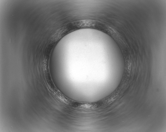 X0000056020326200509092145