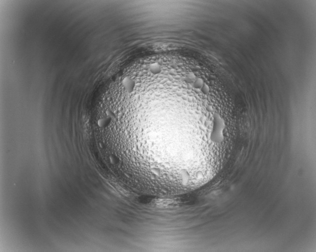 X0000056020327200509092145