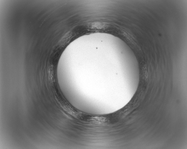 X0000056020328200509092145