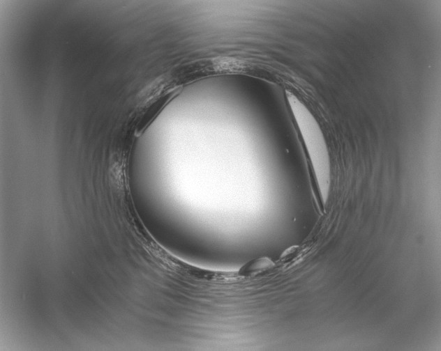 X0000056020329200509092145