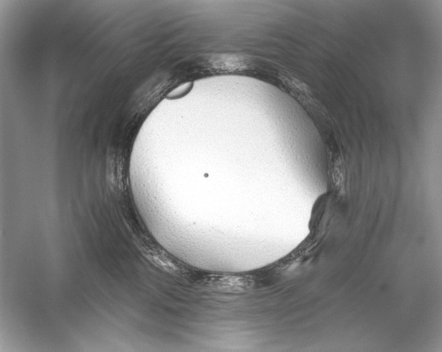 X0000056020330200509092145