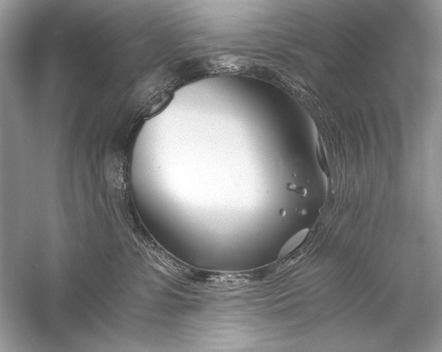 X0000056020331200509092145