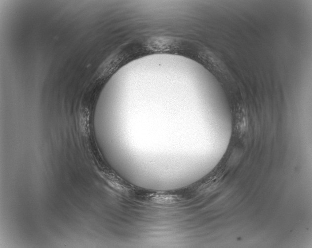 X0000056020332200509092145