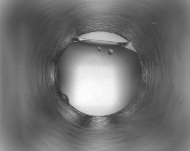 X0000056020334200509092145