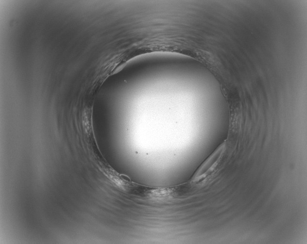X0000056020335200509092145
