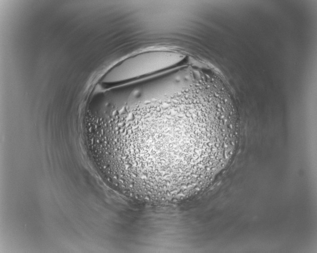 X0000056020337200509092144