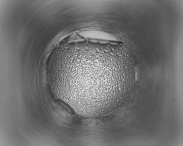 X0000056020339200509092145